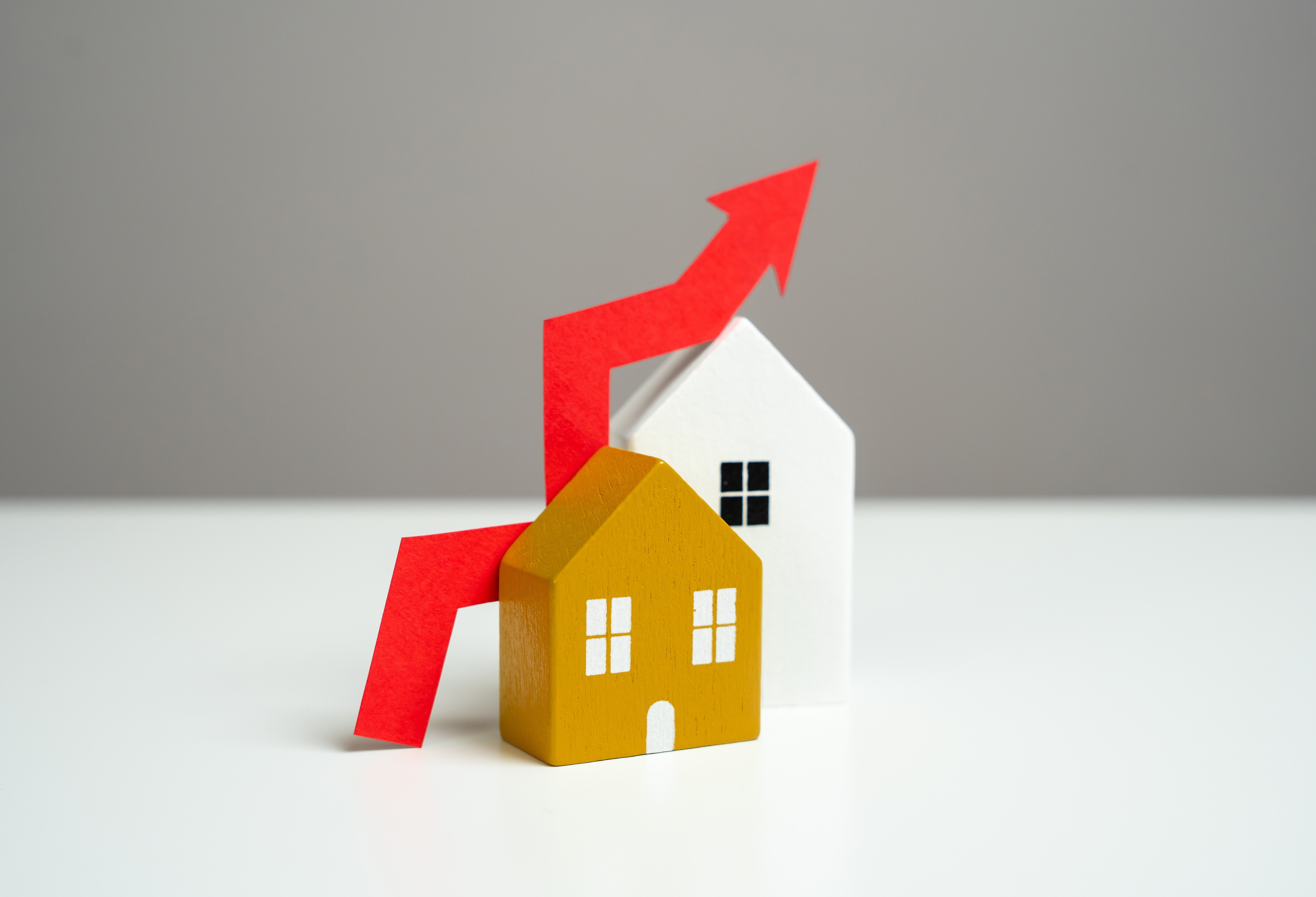 Lease Renewal