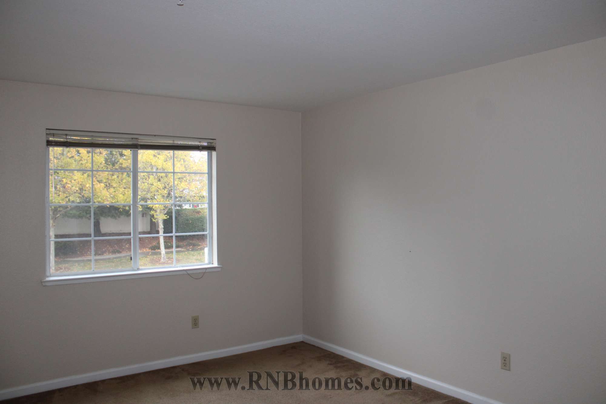 Rental Property Photo